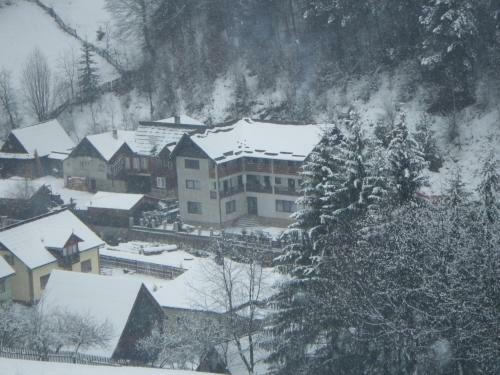 Hostal Pensiunea La Rachitele