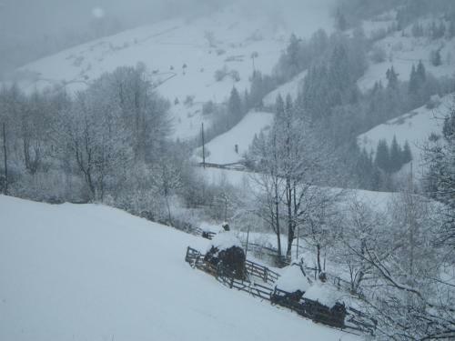 Hostal Pensiunea La Rachitele