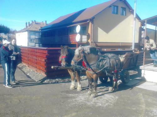 Hostal Pensiunea Denisa & Madalina