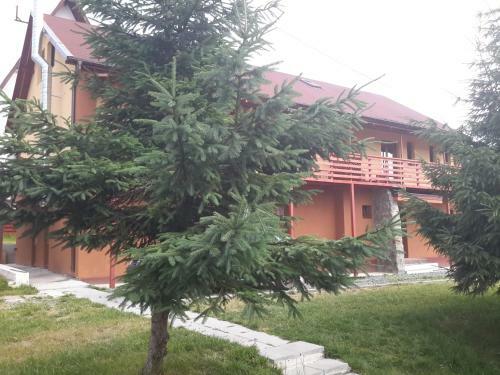 Hostal Pensiunea Denisa & Madalina
