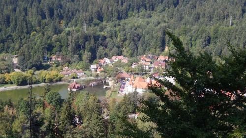 Hostal Olt-part Vend�gh�z