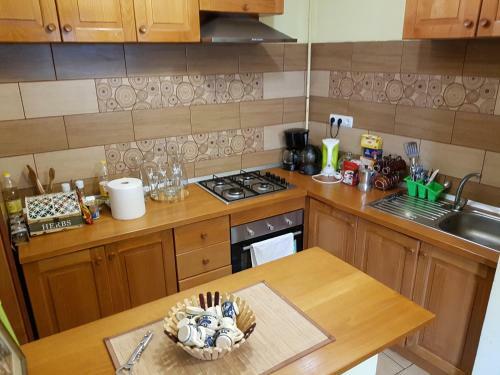 Hostal Pensiunea Ana-dragusana