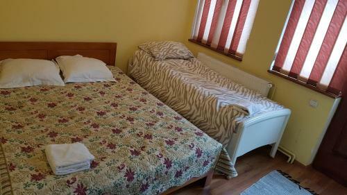 Hostal Pensiunea Ana-dragusana