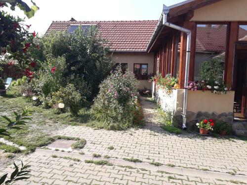 Hostal Pensiunea Ana-dragusana