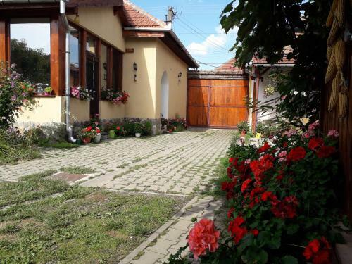 Hostal Pensiunea Ana-dragusana