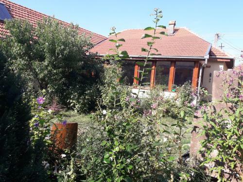 Hostal Pensiunea Ana-dragusana