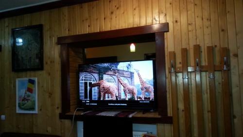 Hostal Pensiunea Ana-dragusana