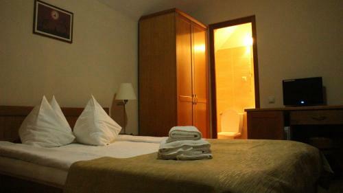 Hostal S�banya Panzi�