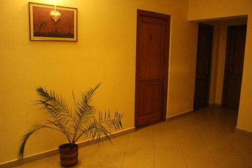 Hostal S�banya Panzi�