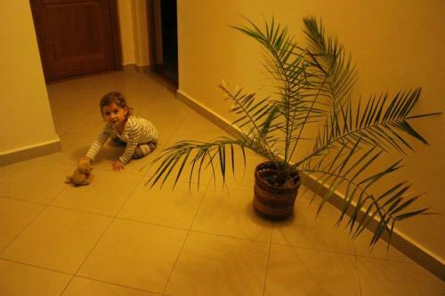 Hostal S�banya Panzi�