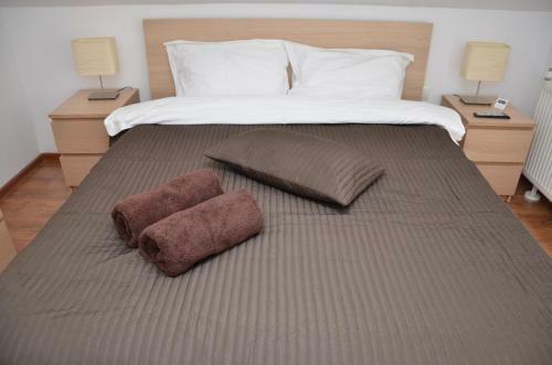 Hostal Pensiunea Casa Runcu Buzau