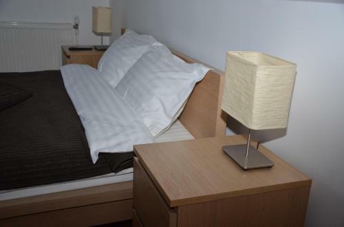 Hostal Pensiunea Casa Runcu Buzau