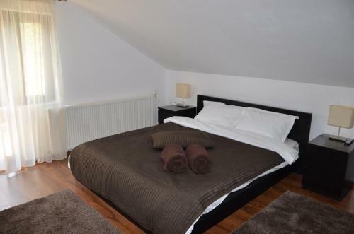Hostal Pensiunea Casa Runcu Buzau