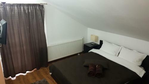 Hostal Pensiunea Casa Runcu Buzau