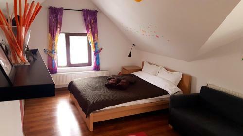 Hostal Pensiunea Casa Runcu Buzau