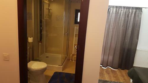 Hostal Pensiunea Casa Runcu Buzau