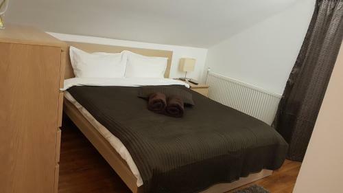 Hostal Pensiunea Casa Runcu Buzau