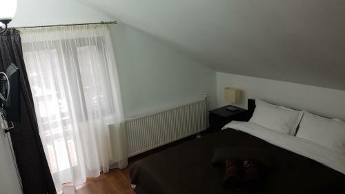 Hostal Pensiunea Casa Runcu Buzau