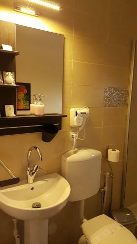 Hostal Pensiunea Casa Runcu Buzau