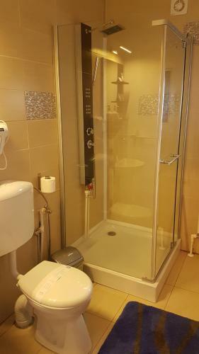Hostal Pensiunea Casa Runcu Buzau