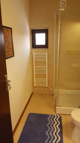 Hostal Pensiunea Casa Runcu Buzau