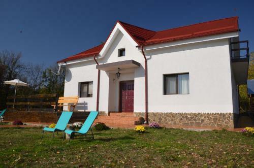Hostal Pensiunea Casa Runcu Buzau