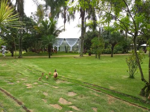 Hotel Fazenda Igarap�s