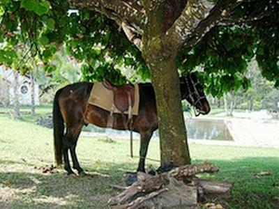 Hotel Fazenda Caco De Cuia