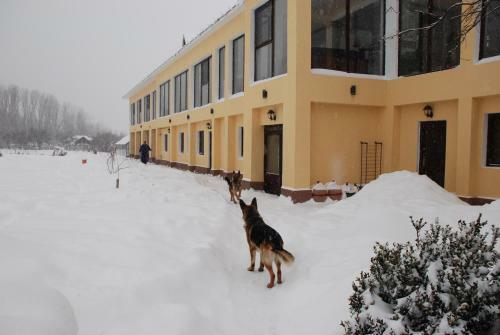 Hostal Villa Giulia