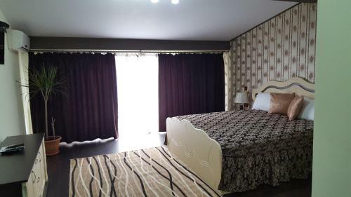 Hostal Pensiunea Sophia
