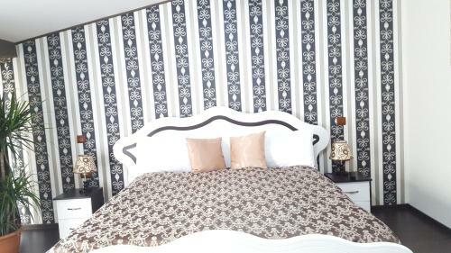 Hostal Pensiunea Sophia