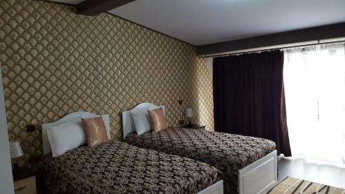 Hostal Pensiunea Sophia