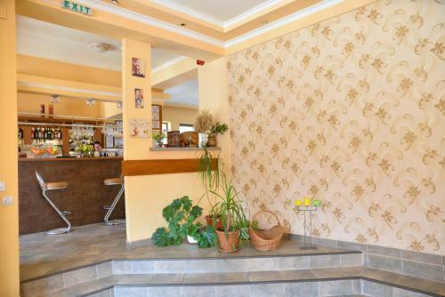 Hostal Pensiunea Drumetul