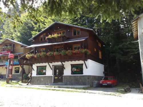Hostal Pensiunea Dana