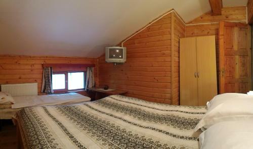 Hostal Pensiunea Dana