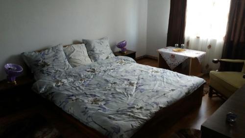 Hostal Pensiunea Aly