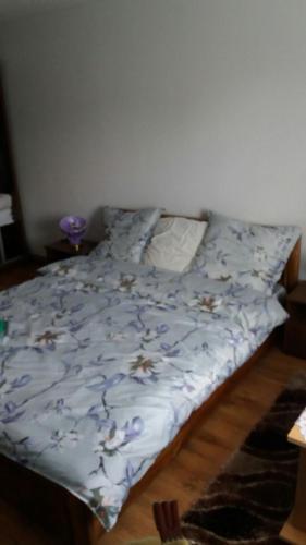 Hostal Pensiunea Aly