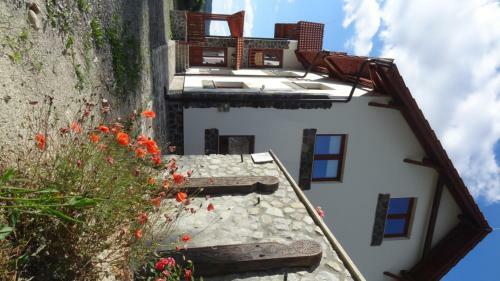 Hostal Pension Magnolia 2