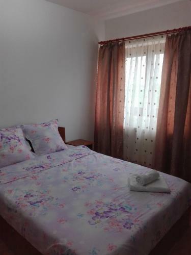 Hostal Pensiunea Simona