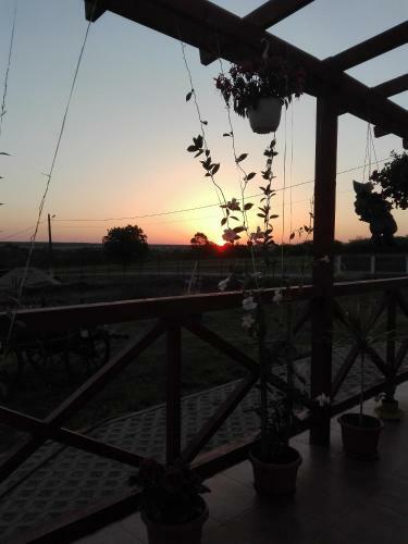 Hostal Pensiunea Simona