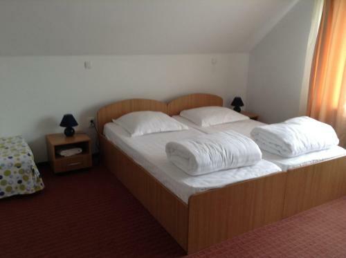 Hostal Pension Nicoleta