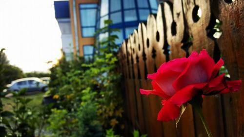 Motel Blue River Calimanesti