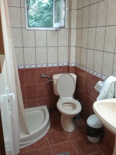 Hostal Pensiune Restaurant Sfinx