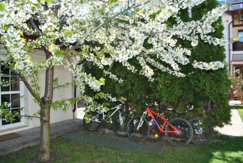 Apartament Beta