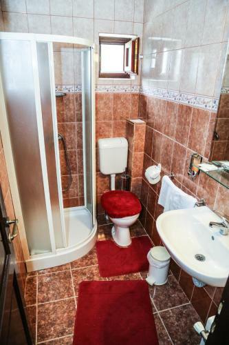 Hostal Pensiunea Sovirag