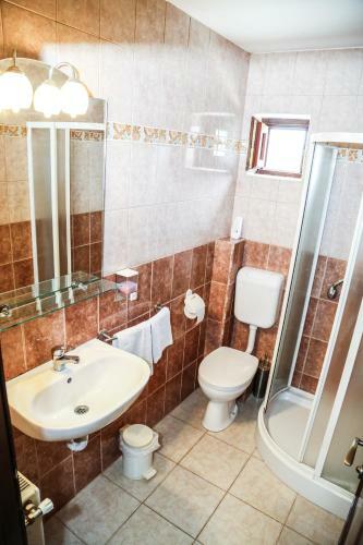 Hostal Pensiunea Sovirag