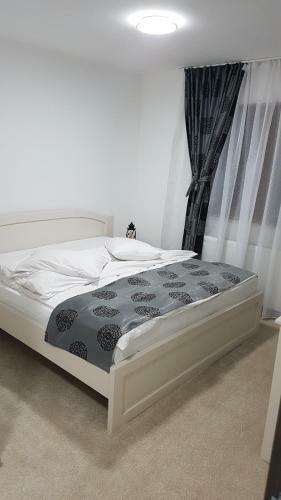 Bed & Breakfast Casuta Din Padure