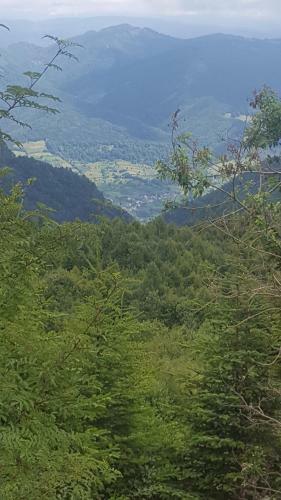 Hostal Casa Din Piatra