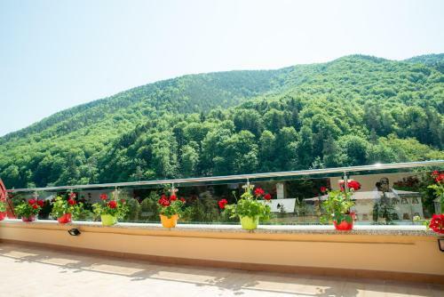 Hotel Nemira