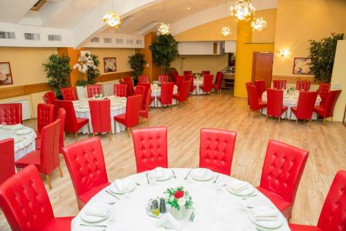 Hotel Nemira